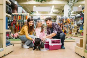Puppy Parent Guide for the First Week!
