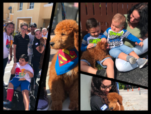 Petland Texas Supports Families In Walk