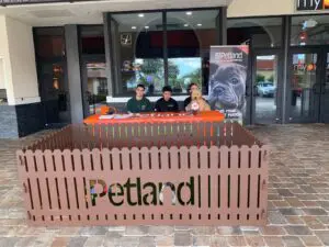 Petland Texas Brings Puppies to the Movies