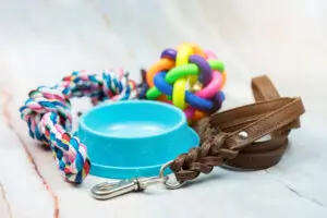 7 Must-Have Puppy Supplies
