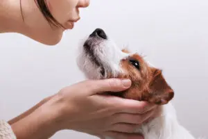 5 Weird Dog Habits You Should Know