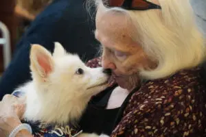 Petland Texas Visits Sodalis of Largo
