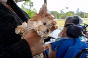 Petland Brings Puppies to Ann Storck Center