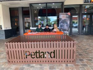 Petland Texas Brings Puppies to the Movies