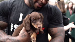 Petland Hosts Puppy Playtime for Anniversary