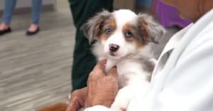 Petland Visits Adult Day Care