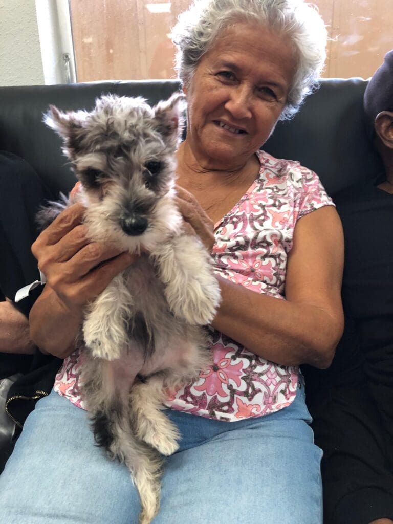 Petland Texas picture of Always At Your Side Adult Day Care patient with cute Miniature Schnauzer puppy.