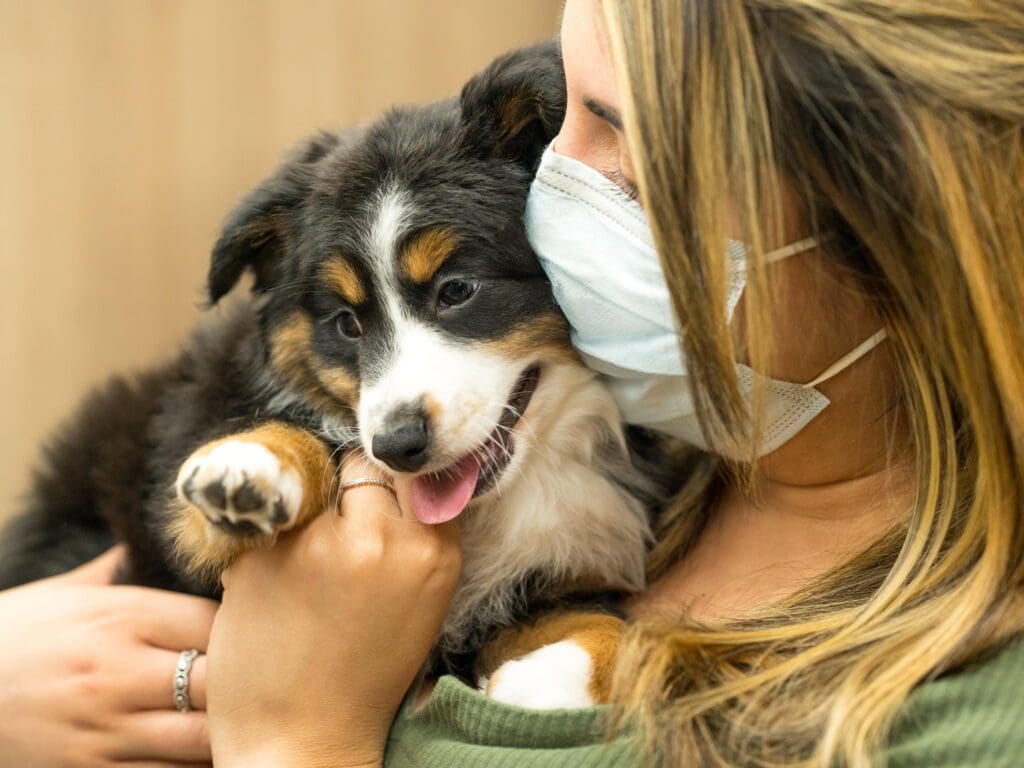 Petland Texas picture of puppy giveaway winner with Australian Shepherd puppy.