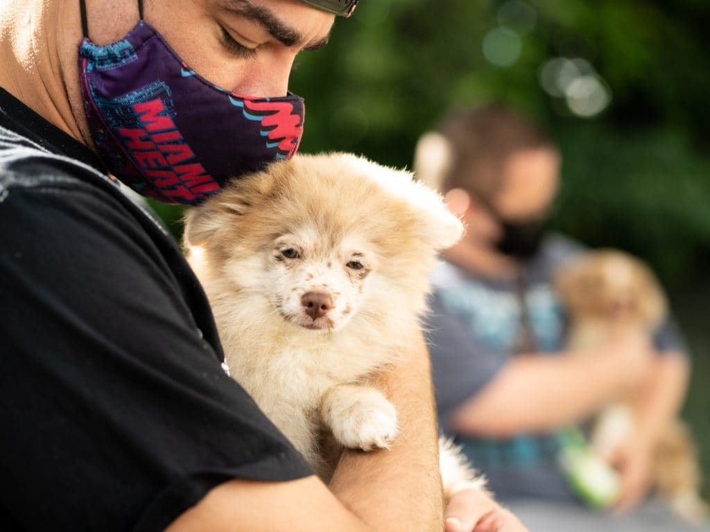 A volunteer from Petland Texas holding a cute puppy at the WOW Center.