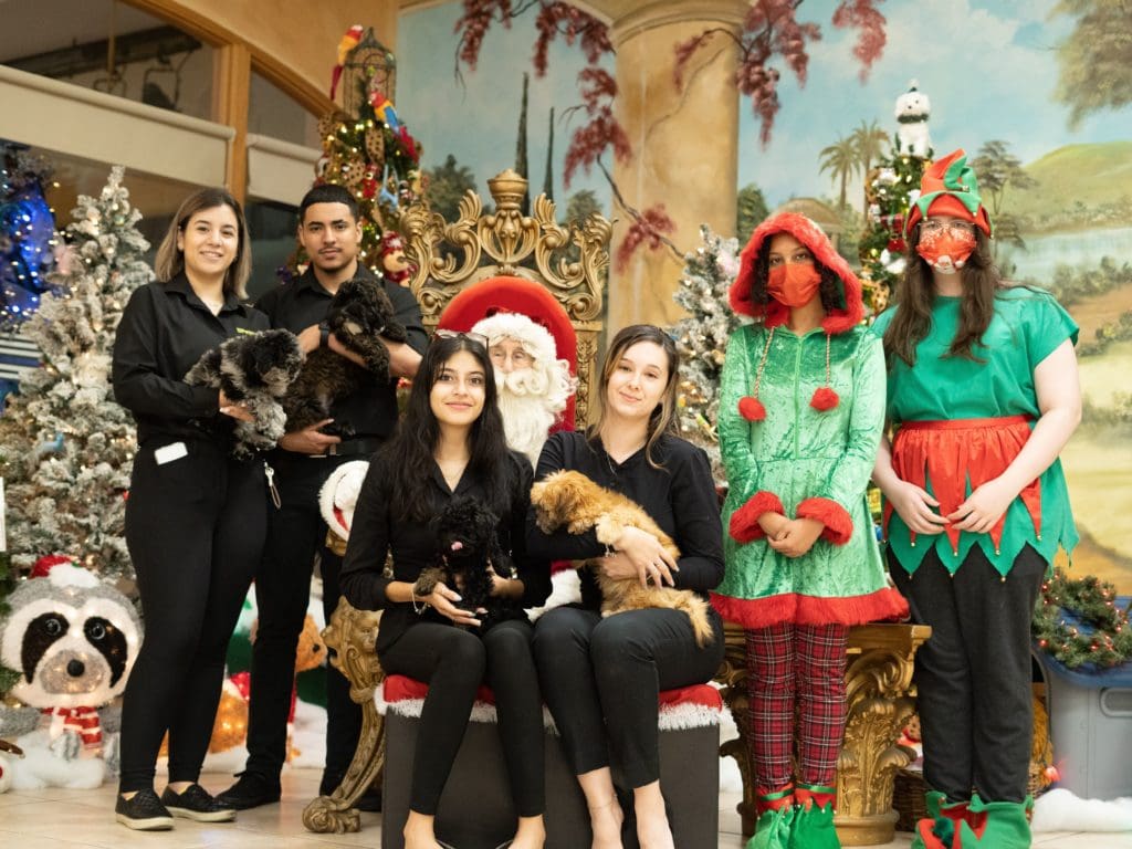 Southwest Focal Point Center community taking a picture with Santa and Petland puppies.