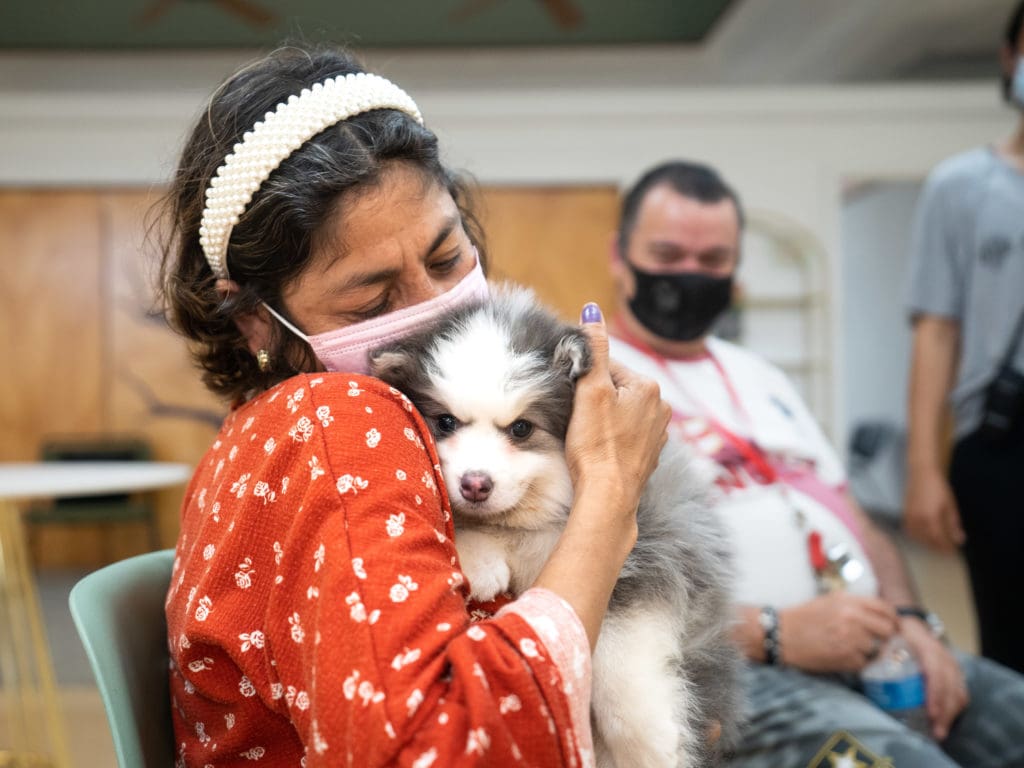 A woman from WOW Center Miami cuddles a cute Pomsky puppy from Petland Texas.
