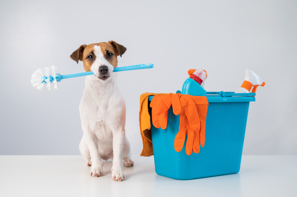 What Cleaning Products Are Safe For Puppies? - Petland Texas