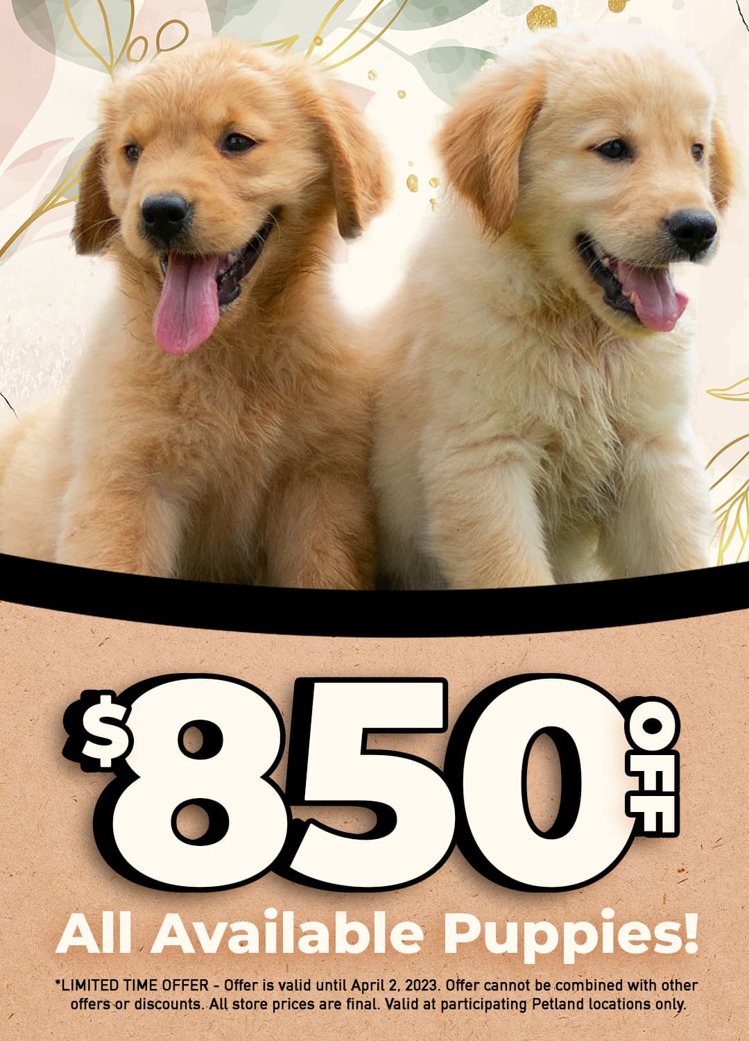 How Much Do Dogs Cost At Petland