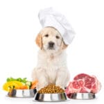best puppy food