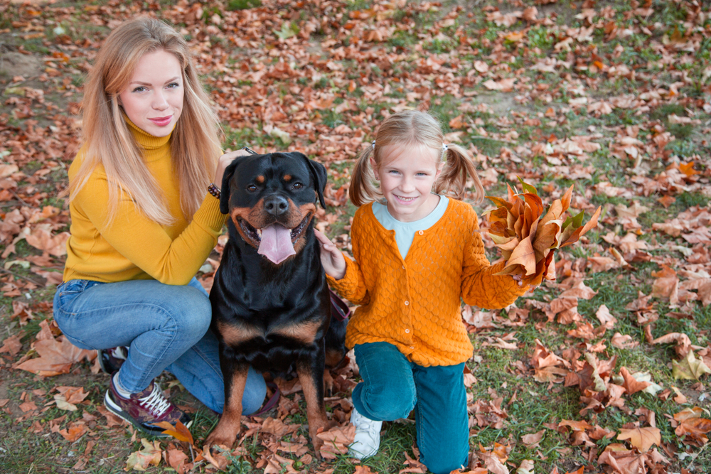 Two young ladies wearing orange sweaters sit with their purebred Rottweiler dog on an autumn day with colorful leaves all around.
