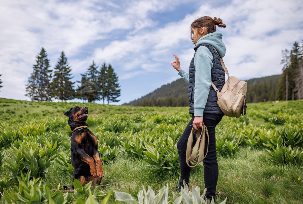 A woman takes a moment during her hike to train her Rottweiler puppy to sit, showing that outdoor exercise is a great time to reinforce basic commands with this loyal dog breed. 