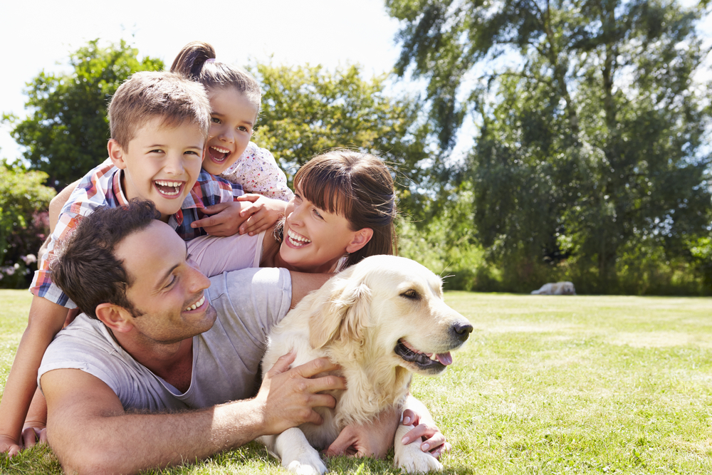 A smiling, happy family lays outside in the sun with their loyal Golden Retriever, on of the best dog breeds for families. 