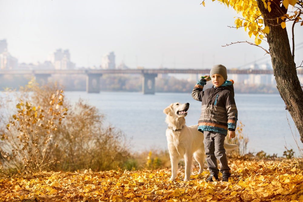 A boy plays fetch with his Golden Retriever outside in autumn with a river in the background.