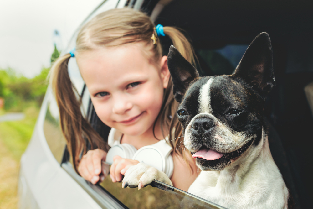 A little blonde girl in pigtails looks out a car window with her dog seated in front of her, as they ride on a sunny day to get to the dog park.