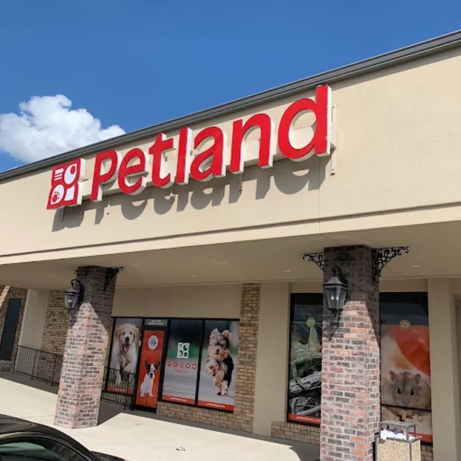 A family meeting their new Petland puppy
